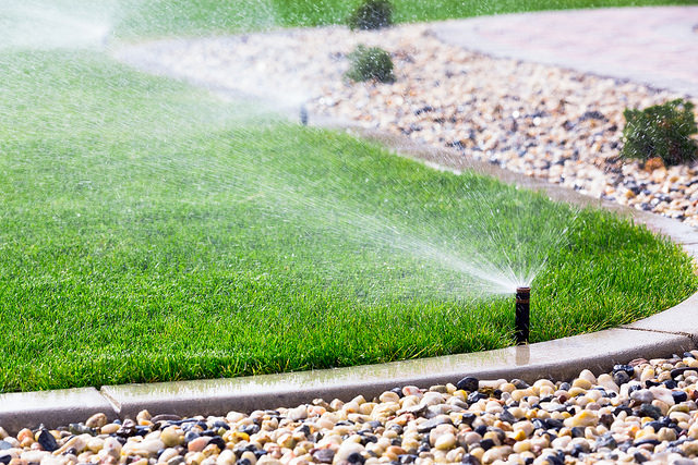 Watering a lawn