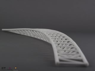 3d printed bridge